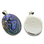 Sterling Silver & Iridescent Shell Pendant